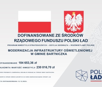 Informacja o dofinansowaniu - RZĄDOWY FUNDUSZ POLSKI ŁAD - PROGRAM INWESTYCJI STRATEGICZNYCH - EDYCJA DZIEWIĄTA - ROZŚWIETLAMY POLSKĘ