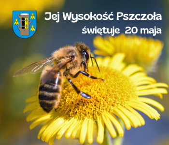 20 maja Światowy Dzień Pszczół
