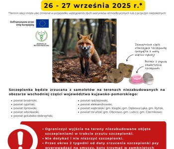 Akcja doustnego szczepienia lisów wolno żyjących przeciwko wściekliźnie.