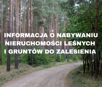 Nadleśnictwo Brodnica informuje