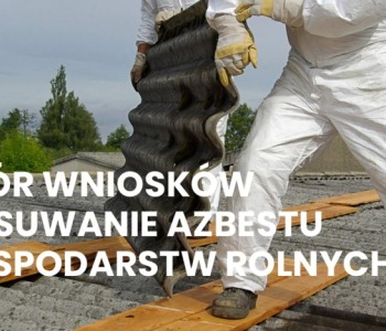 Usuwamy azbest