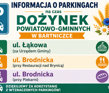 Organizacja parkingów